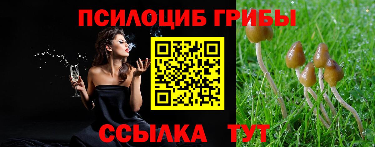 Галлюциногенные грибы Psilocybine cubensis Изобильный